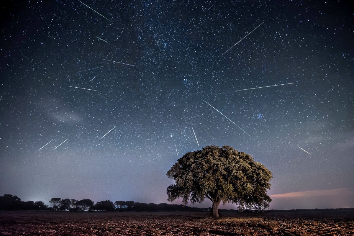 ペルセウス座流星群（Gabriel Gonzalez (noctografia) /500px/Getty Images）