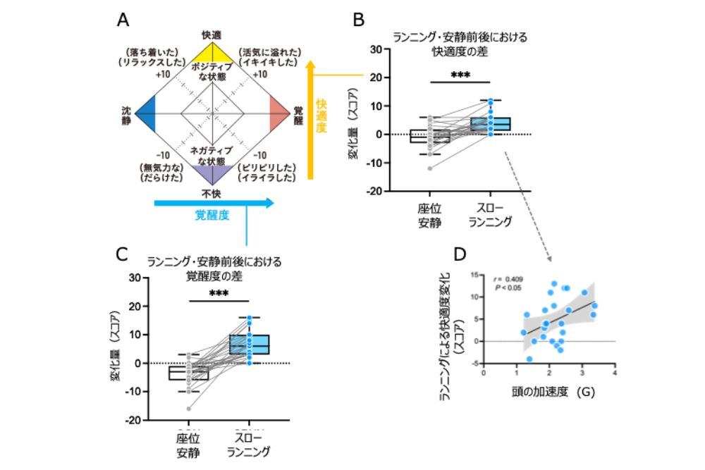 TDMSの覚醒度、快適度ともに、スローランニング後は有意に向上した。また、頭の加速度がそれに寄与していた。
