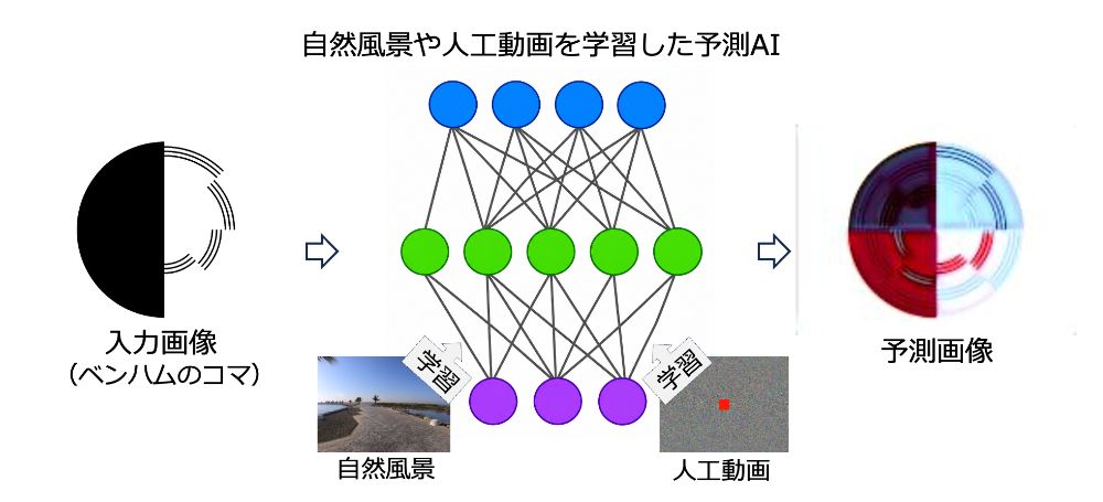 ベンハムのコマからAIが色を予測するイメージ。