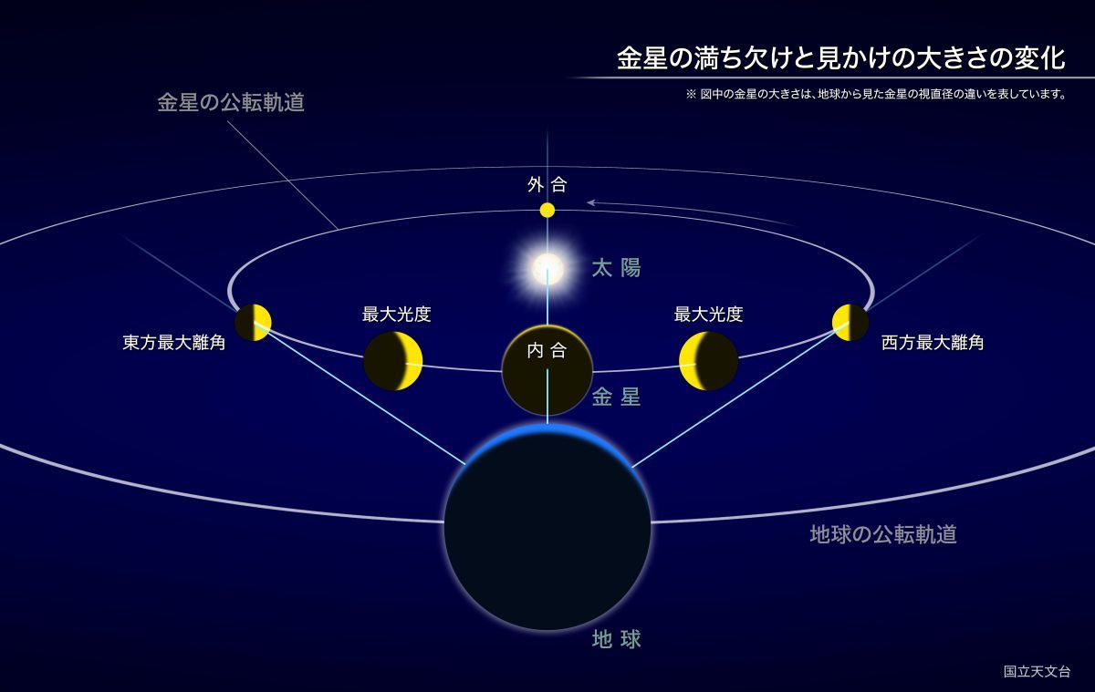 金星の満ち欠けと見かけの大きさの変化（国立天文台）
