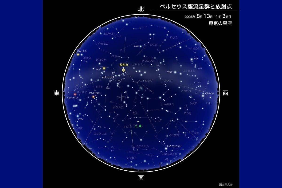 ペルセウス座流星群と放射点（国立天文台）