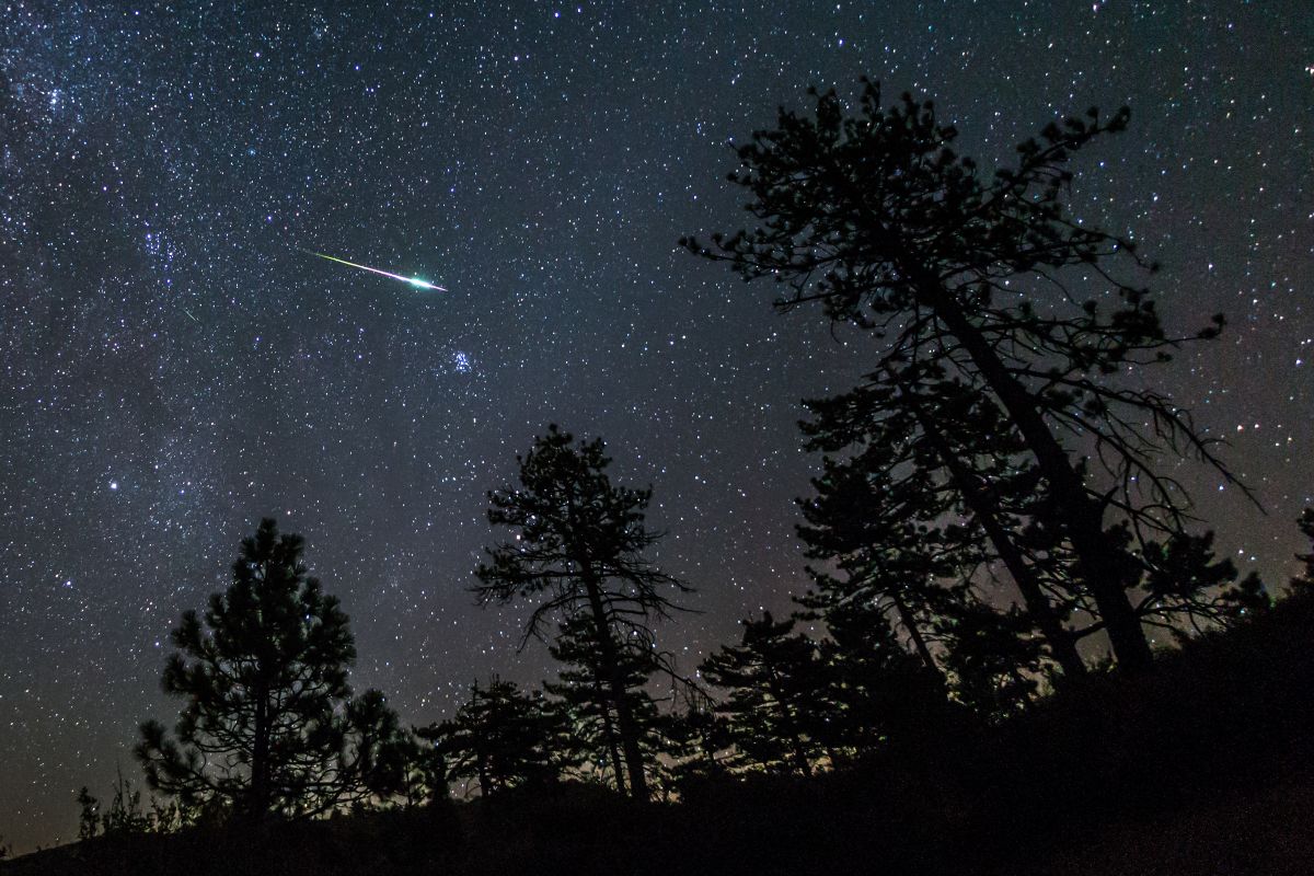 暗い空にペルセウス座流星群の流れ星を探し、はくちょう座を目印に