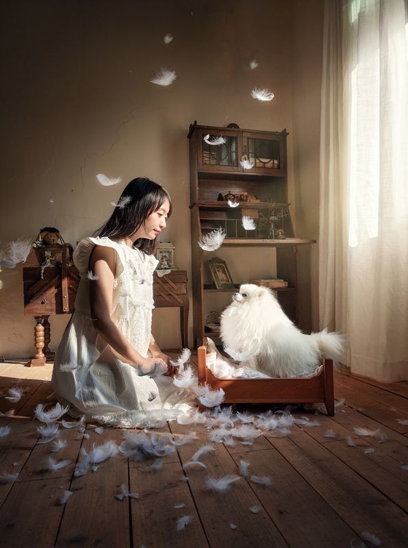 光と混乱の中で（Blending with Light and Dust）、フォン部門ファイナリスト　He Huapei - International Pet Photography Awards 2026