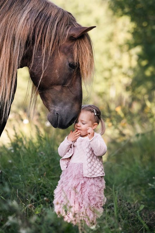 ジェントル（Gentle）、ペットと人部門ファイナリスト　Jaana Vuola - International Pet Photography Awards 2026