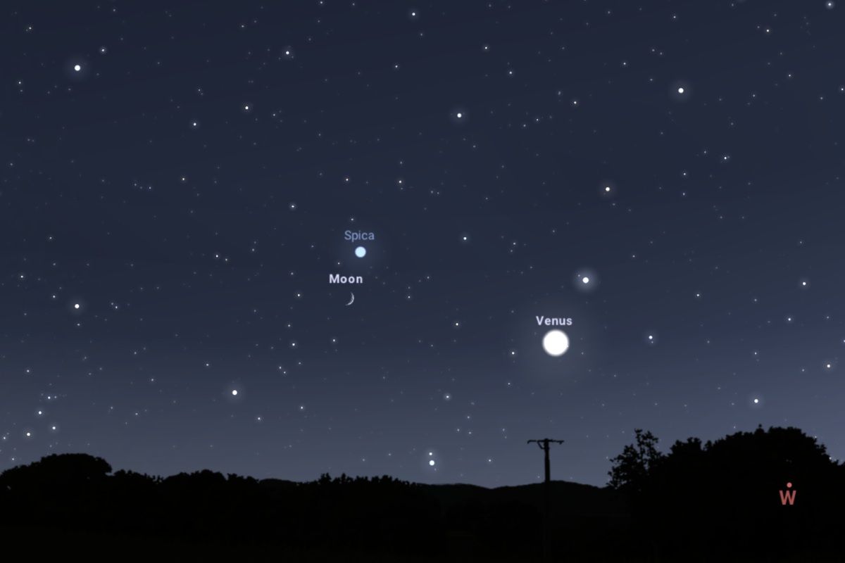 2026年8月17日、日の入り1時間後（東京：午後7時29分）の西南西の空（Stellarium）