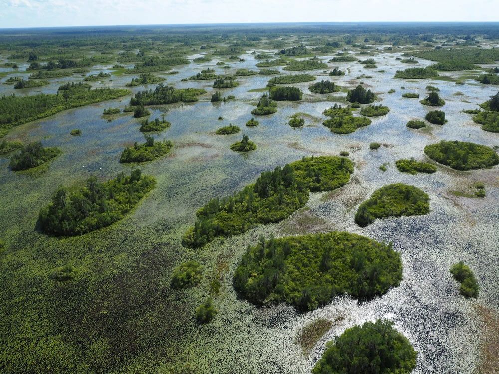 オケフェノキー国立野生生物保護区（米国）(c)Public Domain