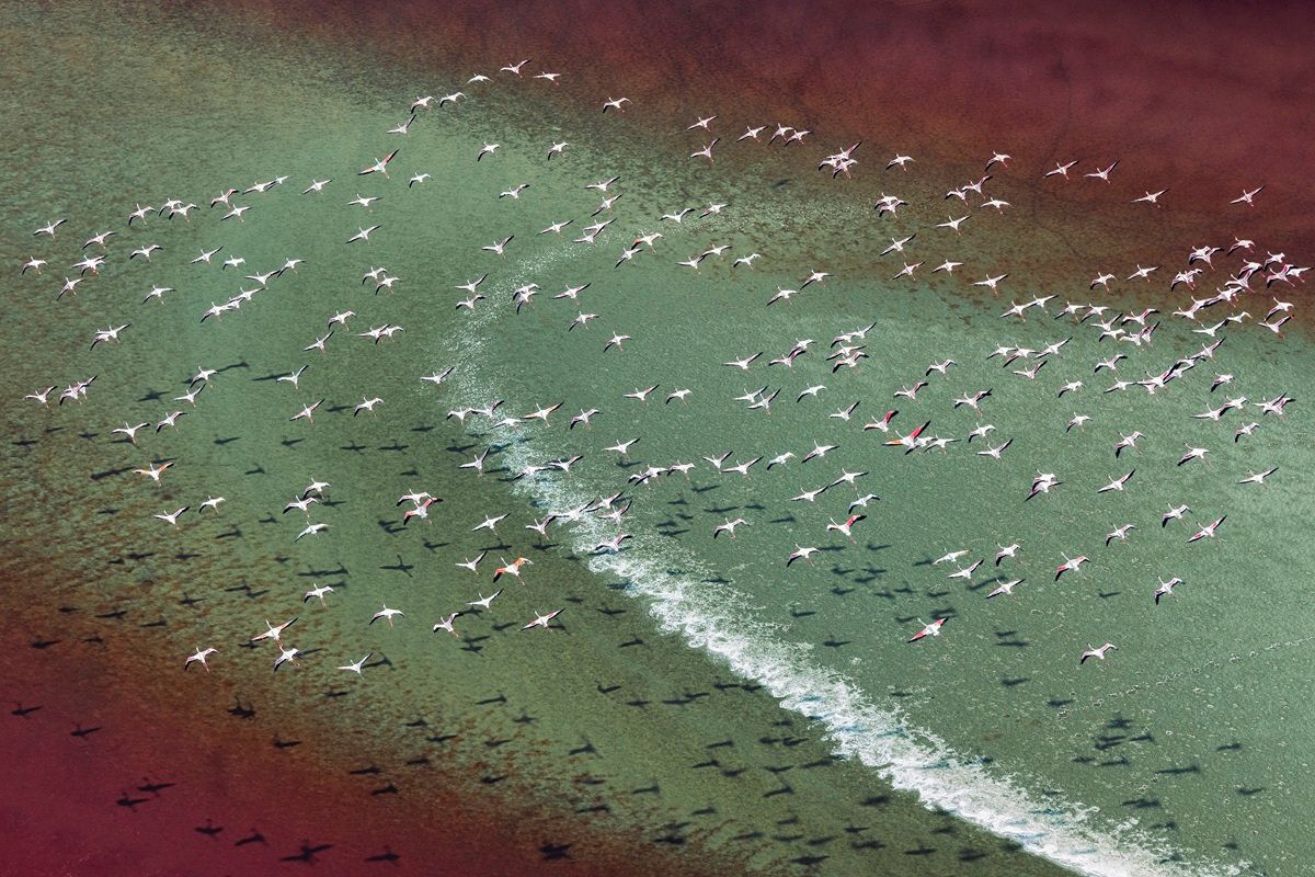 「マガディ湖の夢（Magadi Dream）」 上位101作品。Cédric Tamanim, Switzerland - International Aerial Photographer of the Year 2026