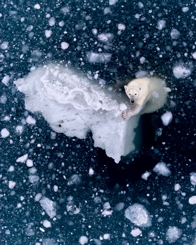 「しっかりつかまって（Holding On）」 上位101作品。Rhiannon Lawler,  UK - International Aerial Photographer of the Year 2026