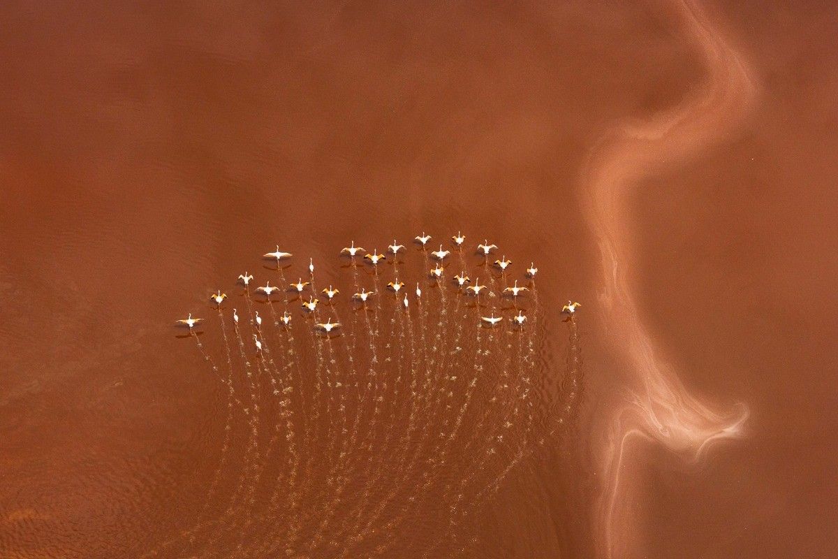 「自然が描くカリグラフィー（Natures Calligraphy）」 トップ101、ファイナリスト。Venkiteswaran Ramasubhramoni, UAE - International Aerial Photographer of the Year 2026
