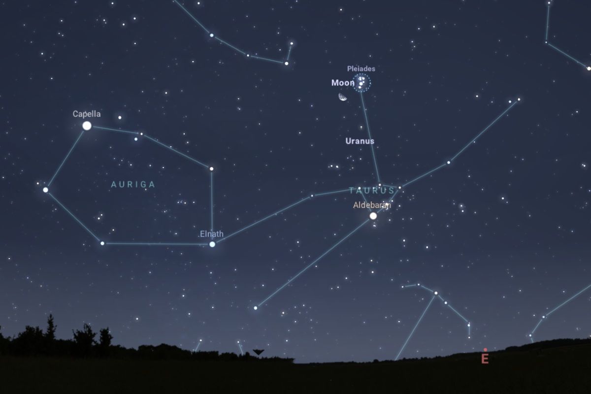 2026年9月3日、午後11時50分頃（東京）の東の空（Stellarium）
