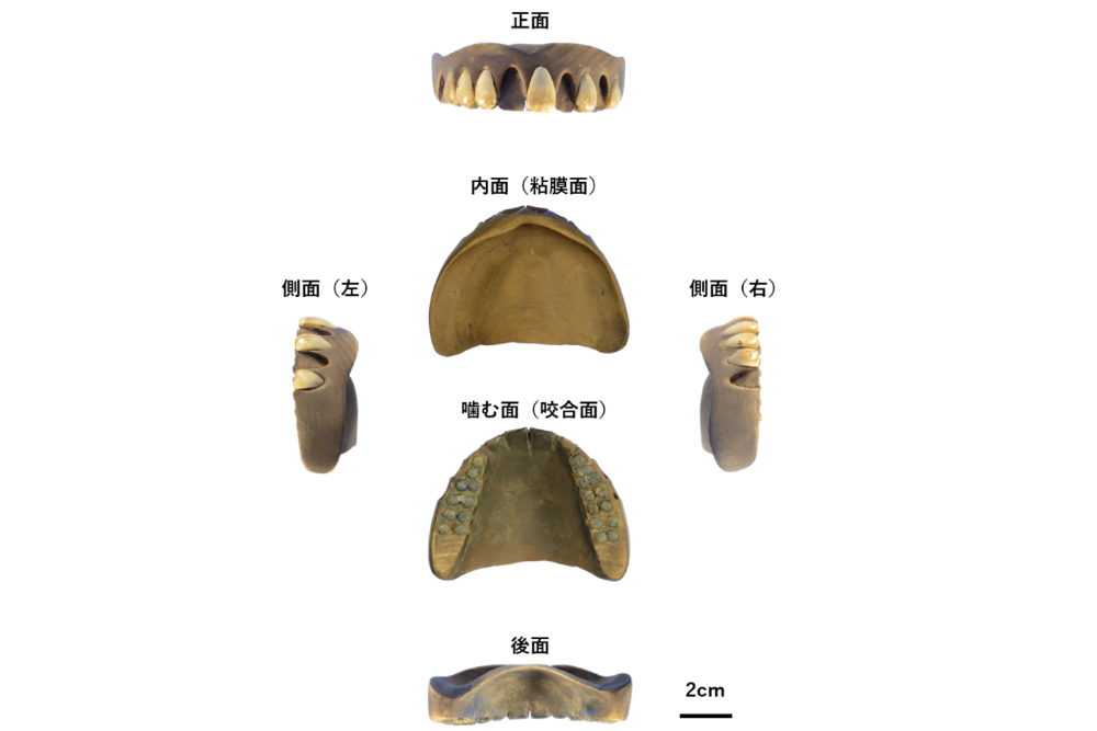 江戸時代の木製入れ歯は現代とほぼ同構造、本人特定も可能な精密さ