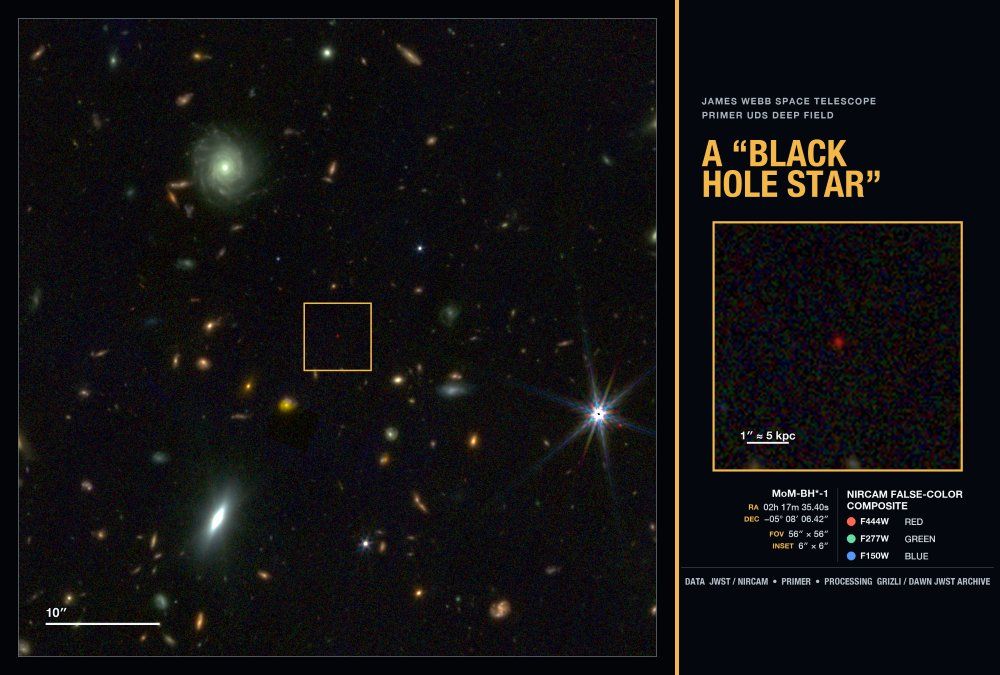 ジェイムズ・ウェッブ宇宙望遠鏡（JWST）がブラックホール星MoM-BH*-1を小さな赤い点（LRD）として捉えたRGB合成画像。肉眼で見えない赤外線の波長を赤（4.4μm）、緑（2.7μm）、青（1.5μm）に割り当てている（Image: NASA, ESA, CSA, STScI, DAWN JWST Archive, PRIMER Survey (PI: James Dunlop); Visualization: Rohan Naidu (University of Hawai’i)）