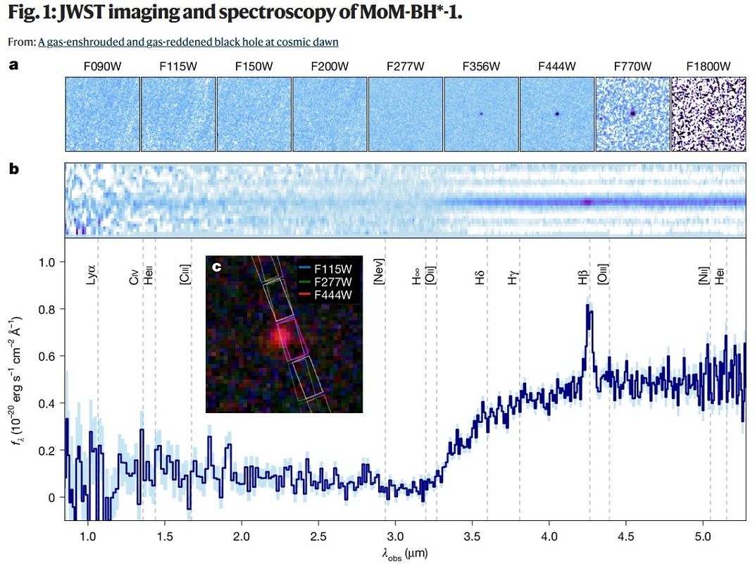 ジェイムズ・ウェッブ宇宙望遠鏡（JWST）が捉えたブラックホール星MoM-BH*-1の波長別画像（a、上）と分光データ（b）。波長別画像aでは長波長（右側）になるほど「小さな赤い点」天体が明るく浮かび上がっている。それに対応して分光データbでは波長約3.2 µmを境に光の強度が急激に変化する様子を確認できる（Naidu et al. Figure.1 / Nature 2026, CC BY 4.0）