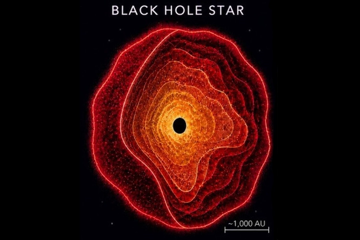 新種の天体「ブラックホール星」、ウェッブ宇宙望遠鏡の観測で発見