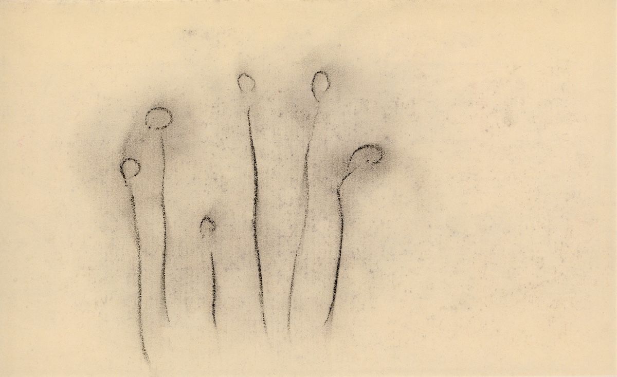 オノ・ヨーコ《見えない花》 (C)Yoko Ono