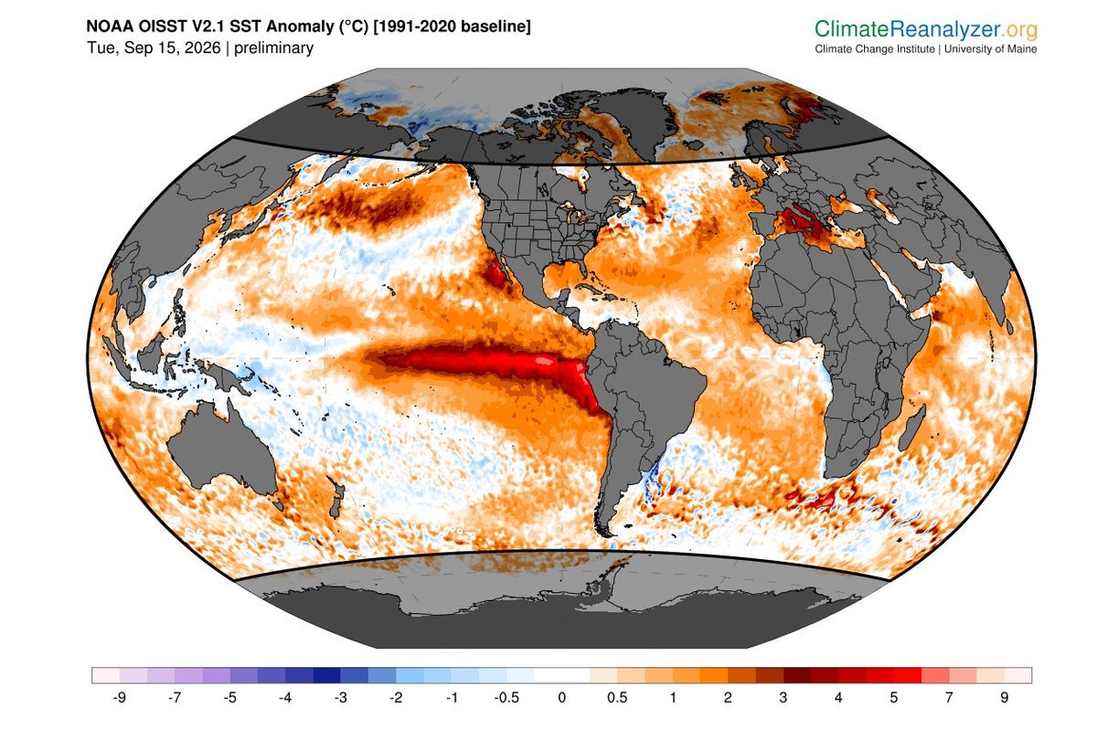2026年9月中旬時点の海面水温偏差  （C）University of Maine Climate Reanalyzer and NOAA