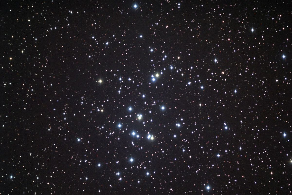かに座の中心にある美しい散開星団「プレセペ星団（M44）」。米キットピーク国立天文台ビジターセンターの観測プログラムにて2014年に撮影（KPNO/NOIRLab/NSF/AURA/Tom Bash and John Fox/Adam Block）