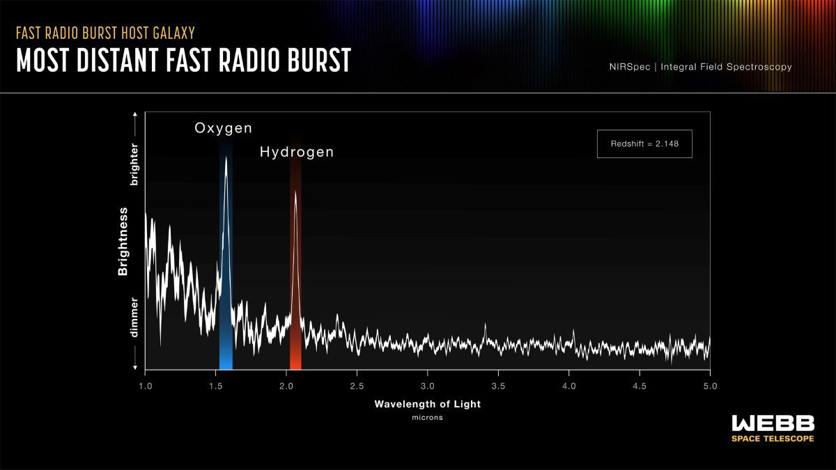 ジェイムズ・ウェッブ宇宙望遠鏡（JWST）を用いた天文学者チームが、現在知られている中で最も遠方にある高速電波バースト（FRB）の母銀河を詳細に観測。酸素や窒素から放射された光を検出し、母銀河の宇宙論的赤方偏移を測定した結果、このFRBが宇宙誕生のビッグバンからわずか30億年後に発生したものであることを突き止めた（Illustration: NASA, ESA, CSA, Joseph Olmsted (STScI); Science: Manisha Caleb (SIfA)）