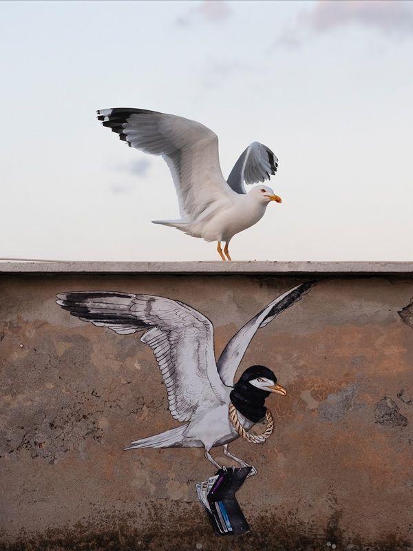 「別の自分（Alter Ego）」：都会における鳥部門金賞。撮影地：イタリア・ローマ　Gianluca Damiani, Italy. Bird Photographer Of The Year 2026
