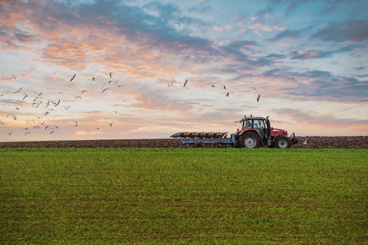 New AI Technology Transforming the Future of Agriculture: Latest Use Cases