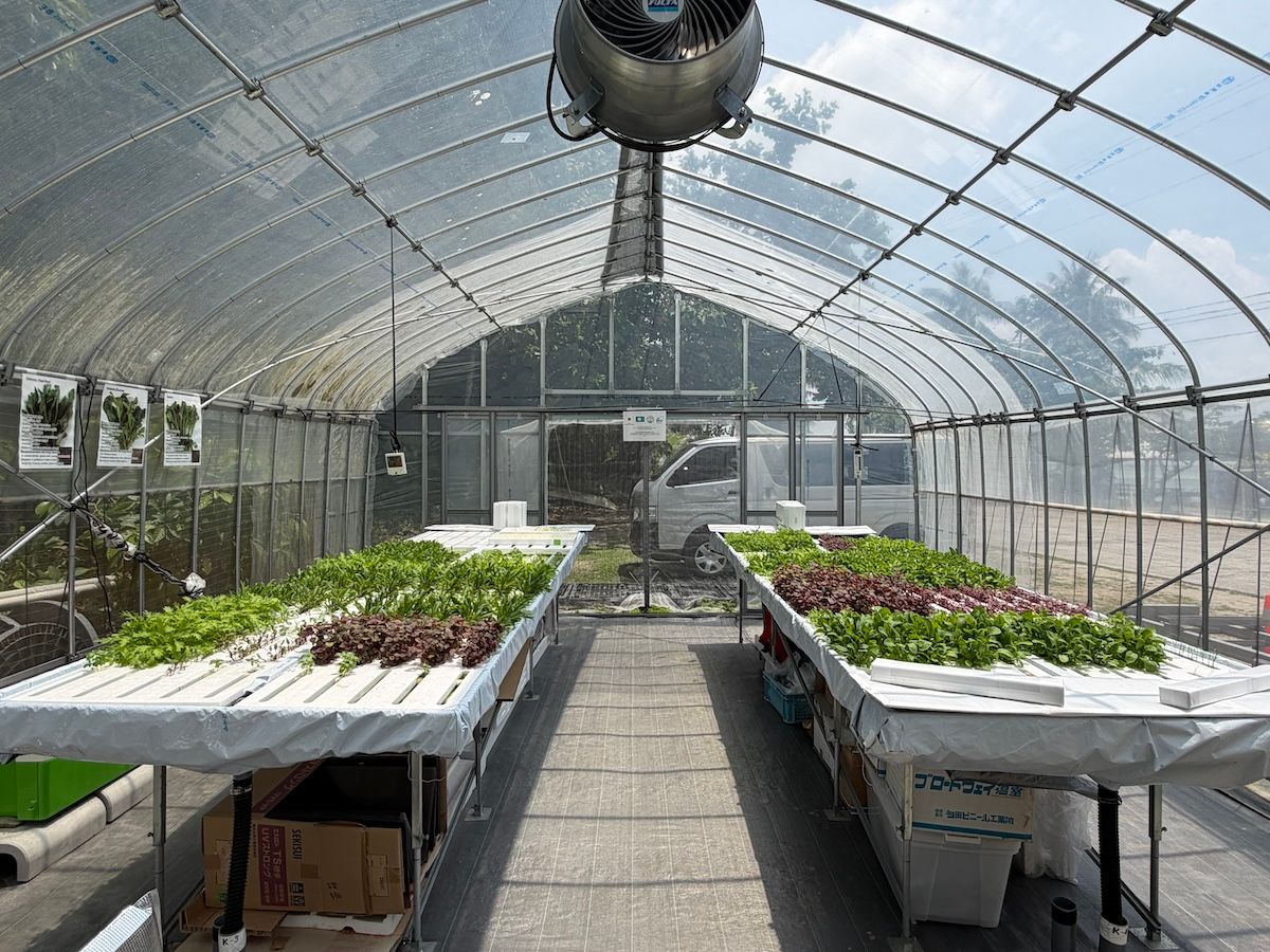 首都マルキョクにあるHydroCrops社のビニールハウス