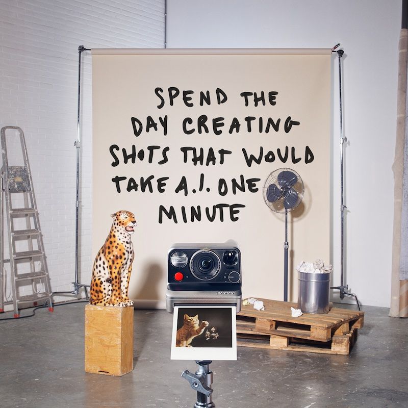 Polaroid Mod（Polaroid）