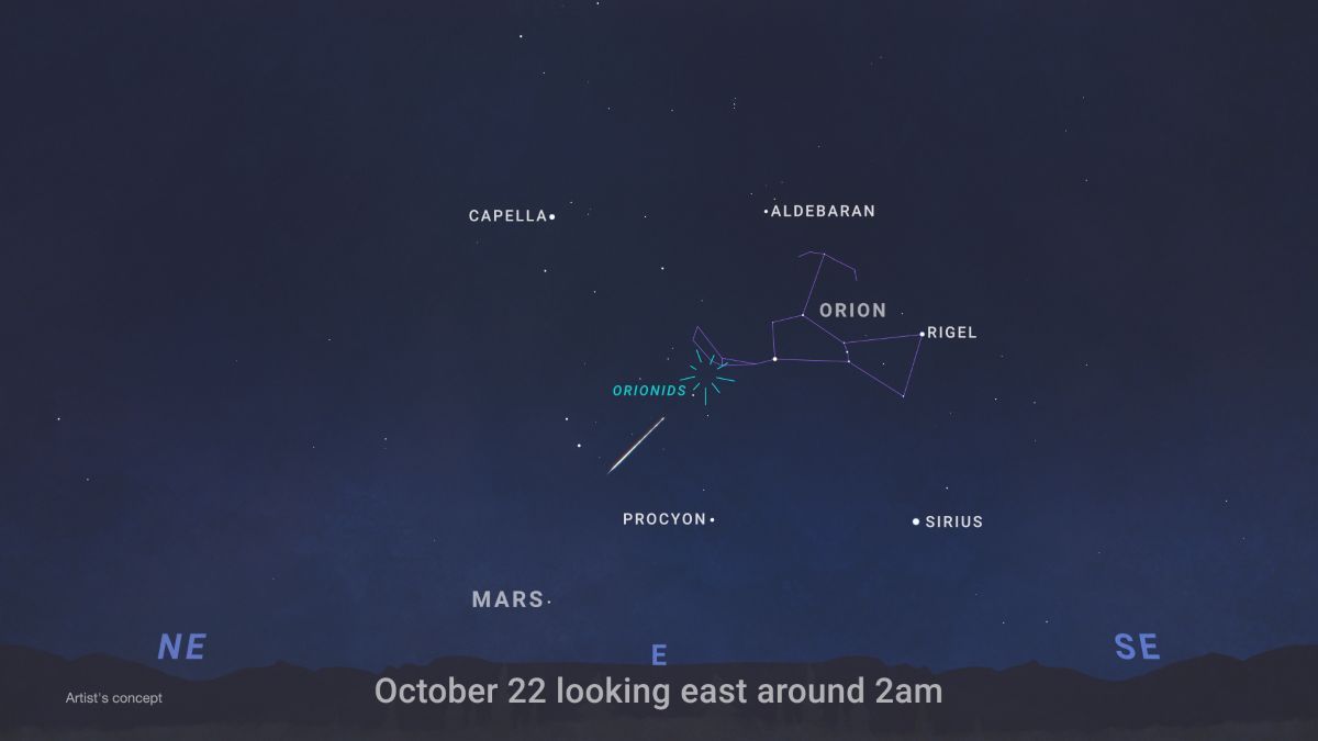 オリオン座流星群の放射点の位置を示した図（NASA/JPL-Caltech）