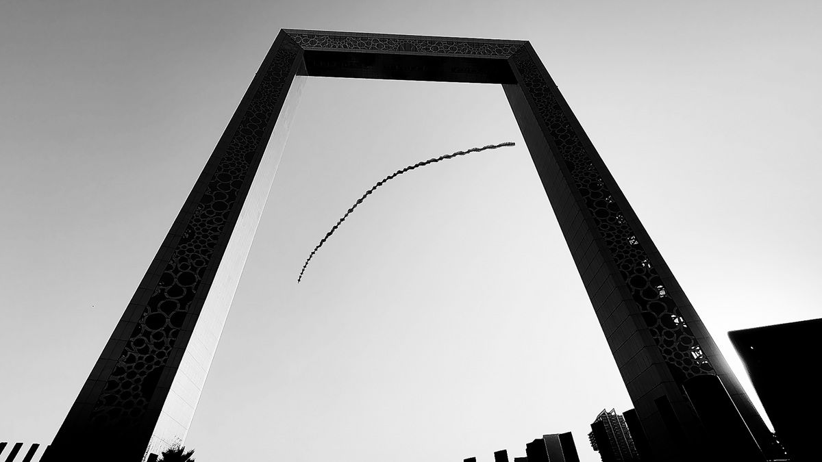 アラブ首長国連邦（UAE）ドバイにて。壮大な建築物というフレームに囲まれ、セグロカモメが広々とした空間を飛び回っている。 Wings Over Concrete © Raghuvamsh Chavali