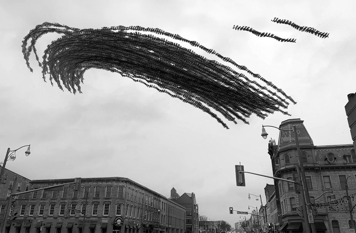 カナダ、オンタリオ州にて。ダウンタウンの街路を飛ぶハトの群れ。その飛行ルートが重なり合って一体化し、ビルや標識のあいだを縫って進む、濃密な流動体へと姿を変える。 Wings Over Concrete © Raghuvamsh Chavali