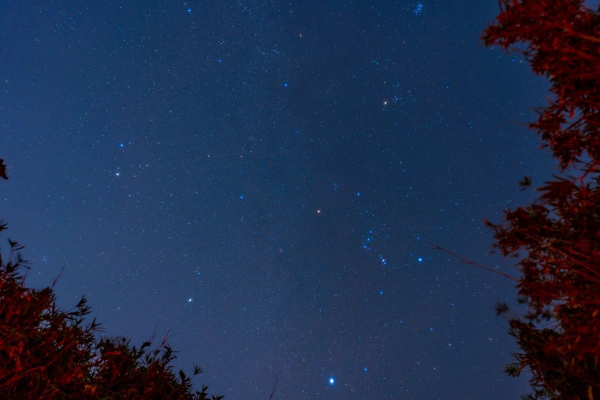 晩秋のオリオン座。上方におうし座のプレアデス星団とヒアデス星団、アルデバランが、下方にひときわ明るいおおいぬ座のシリウスが見える（stock.adobe.com）