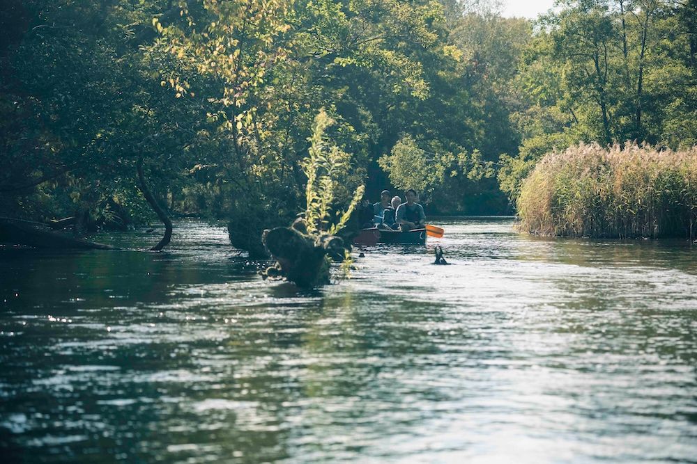 源流部には、水面が鏡のように静まる「鏡の間」と呼ばれる区間がある。川床のいたるところから湧き水が出ており、川にはクレソンやバイカモが生える。
