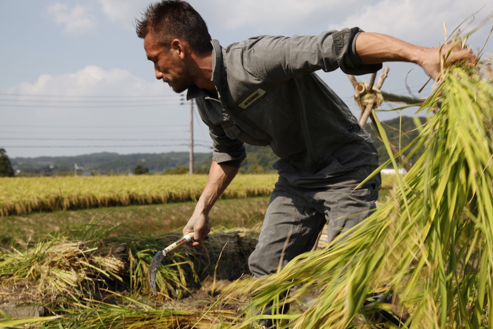 中田英寿が語る日本酒の世界戦略 「目的は、売れることではない