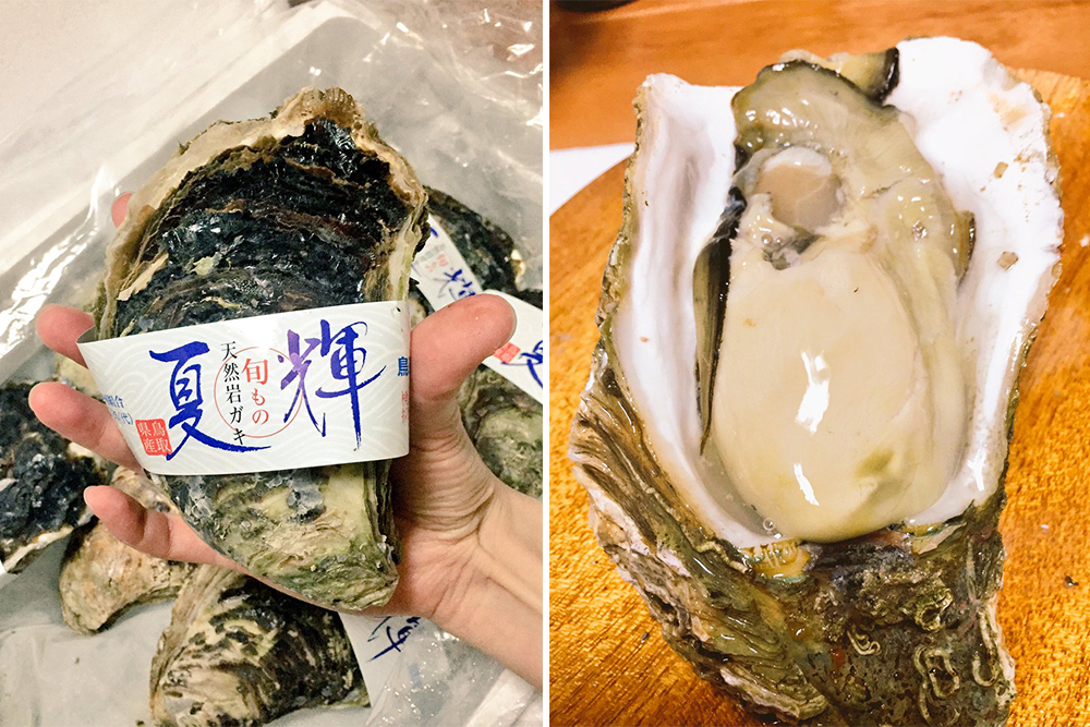 このミルキィさ、夏限定 旨味が詰まった大福サイズの天然岩ガキ
