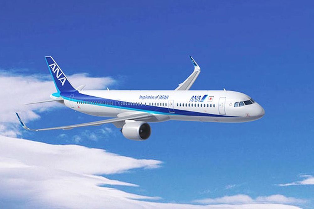 混沌から希望の2021年へ。ANA機体で「初日の出フライト」プランが胸を