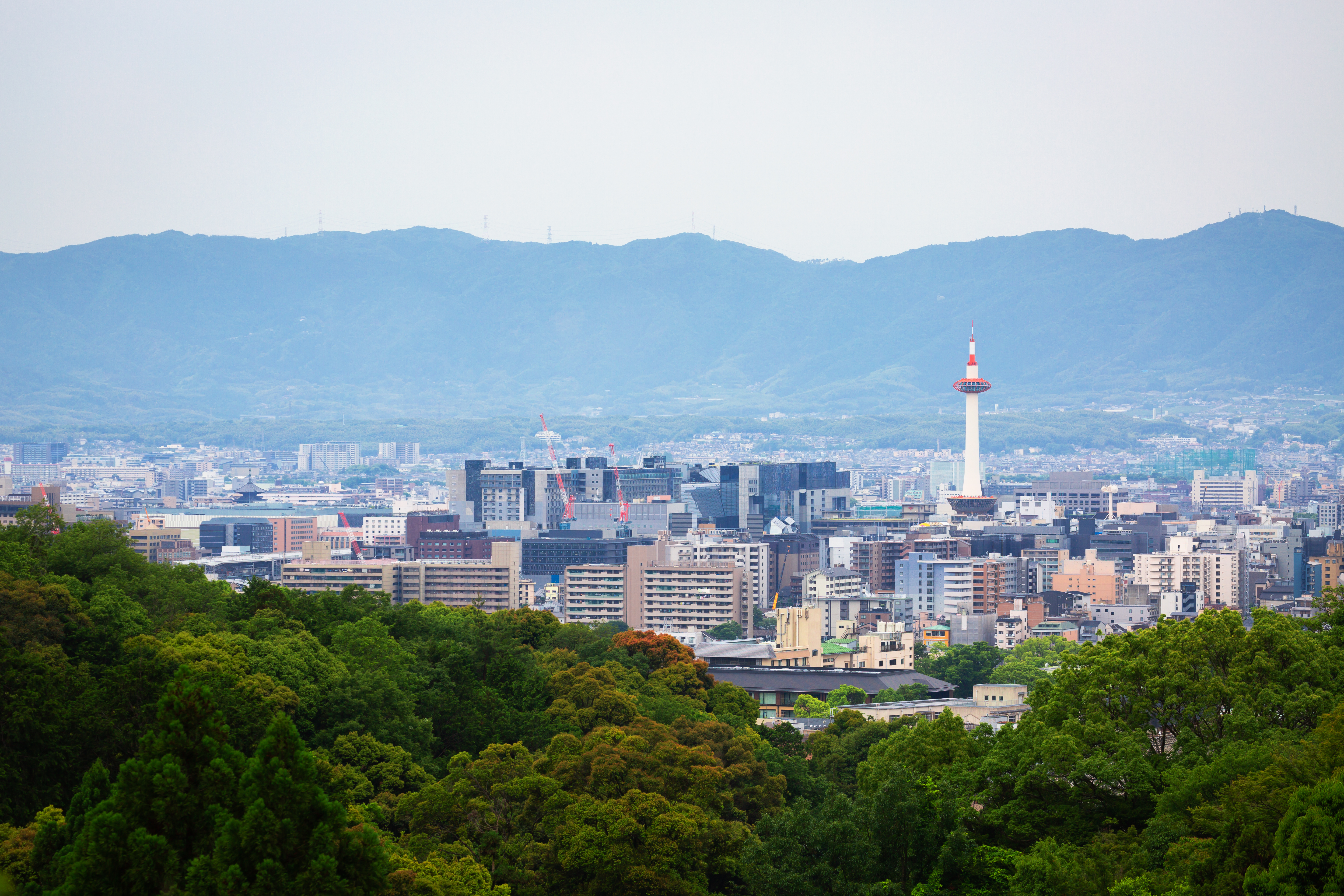 地域経済には伸びしろしかない。地域経済活性化に向けた銀行DX貢献の可能性 | Forbes JAPAN 公式サイト（フォーブス ジャパン）