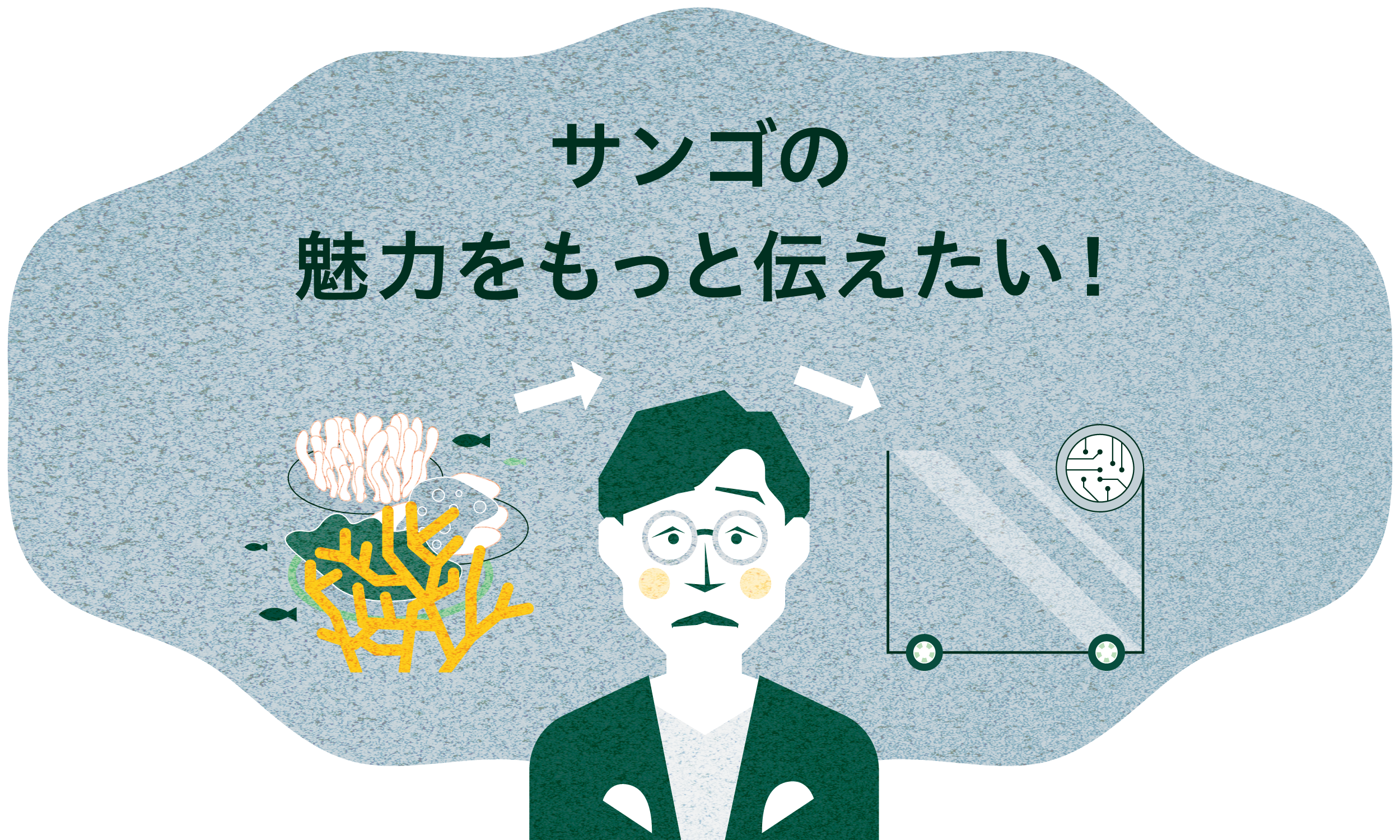 サンゴの魅力を伝えたい！　新しい技術、プロダクトはある。でも一番伝えたい「魅力」が伝わらないのはなぜ？ | Forbes JAPAN 公式サイト（フォーブス ジャパン）