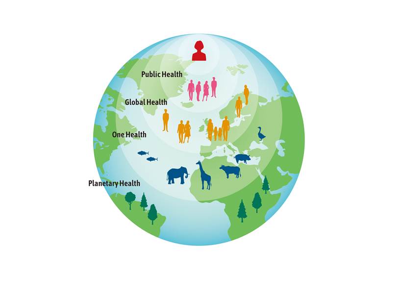 【プラネタリーヘルス × Planetary Health Alliance】 自然環境の悪化が人間の健康に脅威をもたらす。新たな時代のヘルスケアを変えるプラネタリーヘルスという概念 ～「ポストコロナ時代のヘルスケア・パラダイムシフト」#5 | Forbes JAPAN 公式サイト（フォーブス ジャパン）