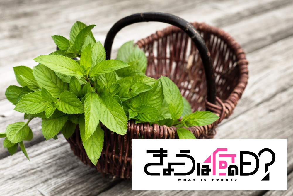 スペアミントとペパーミント、古くからあったのはどっち？ ペパーミントの日 6月20日 Forbes JAPAN 公式サイト（フォーブス