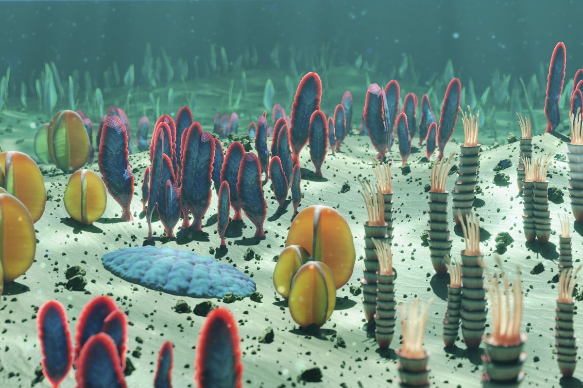 盾の国の建物(生物体) NSMTM32403 | Yoshimoto 3D