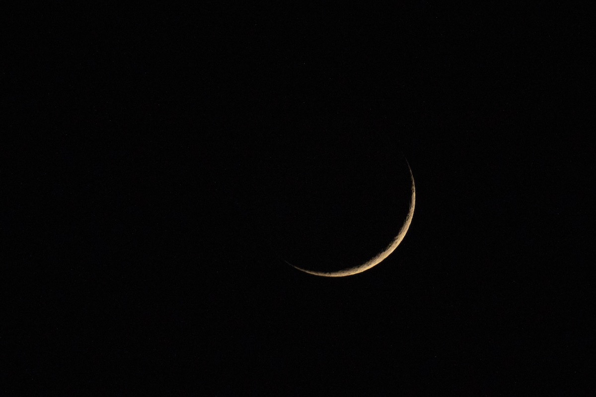 細い三日月と惑星、いよいよペルセウス座流星群も楽しめる今週の夜空