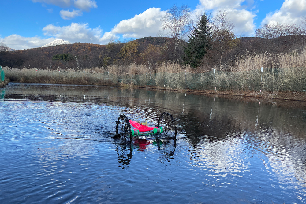 小規模農家を助ける安価な水田除草ロボット「ミズニゴール2024