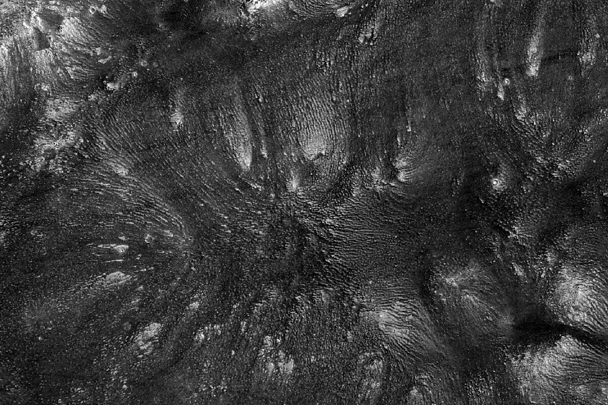 火星に印象的な「枯山水」、NASA探査機が発見 | Forbes JAPAN 公式