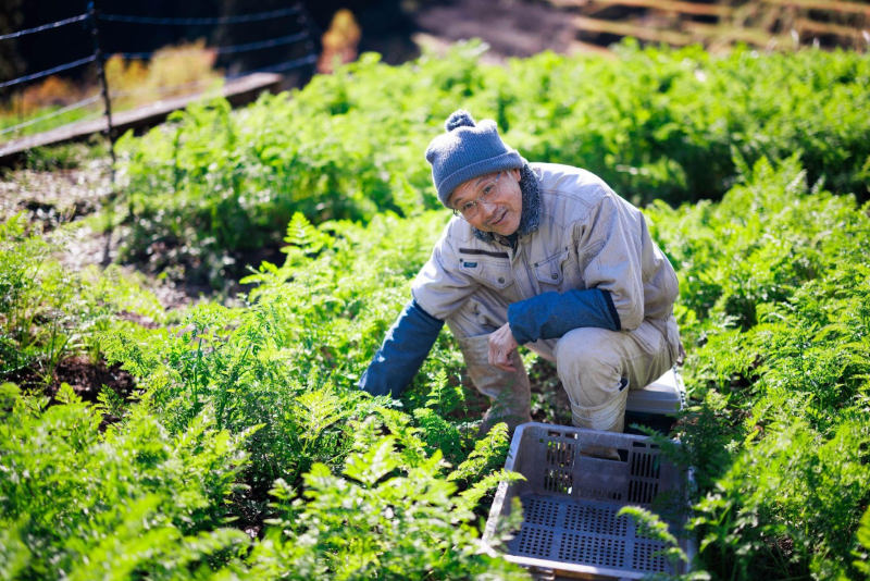 地元の無農薬野菜を収穫することも、魅力的なコンテンツの一つ