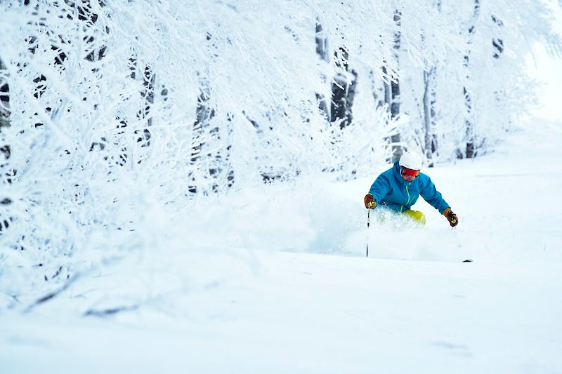 樹氷が美しい北側斜面。中～上級者向けのイメージが強かったが、ベースから中腹までクワッドリフトを開設したことでファミリーユースも増加した。