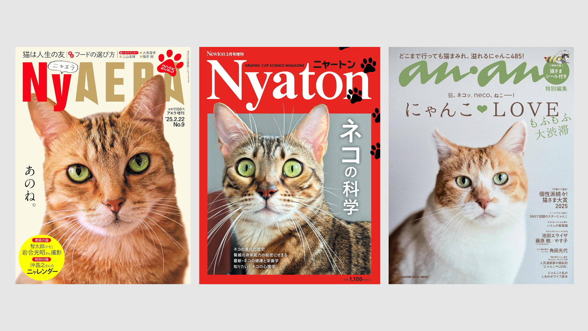Newton、AERA、ananがネコ雑誌に!? 2月22日は「猫の日