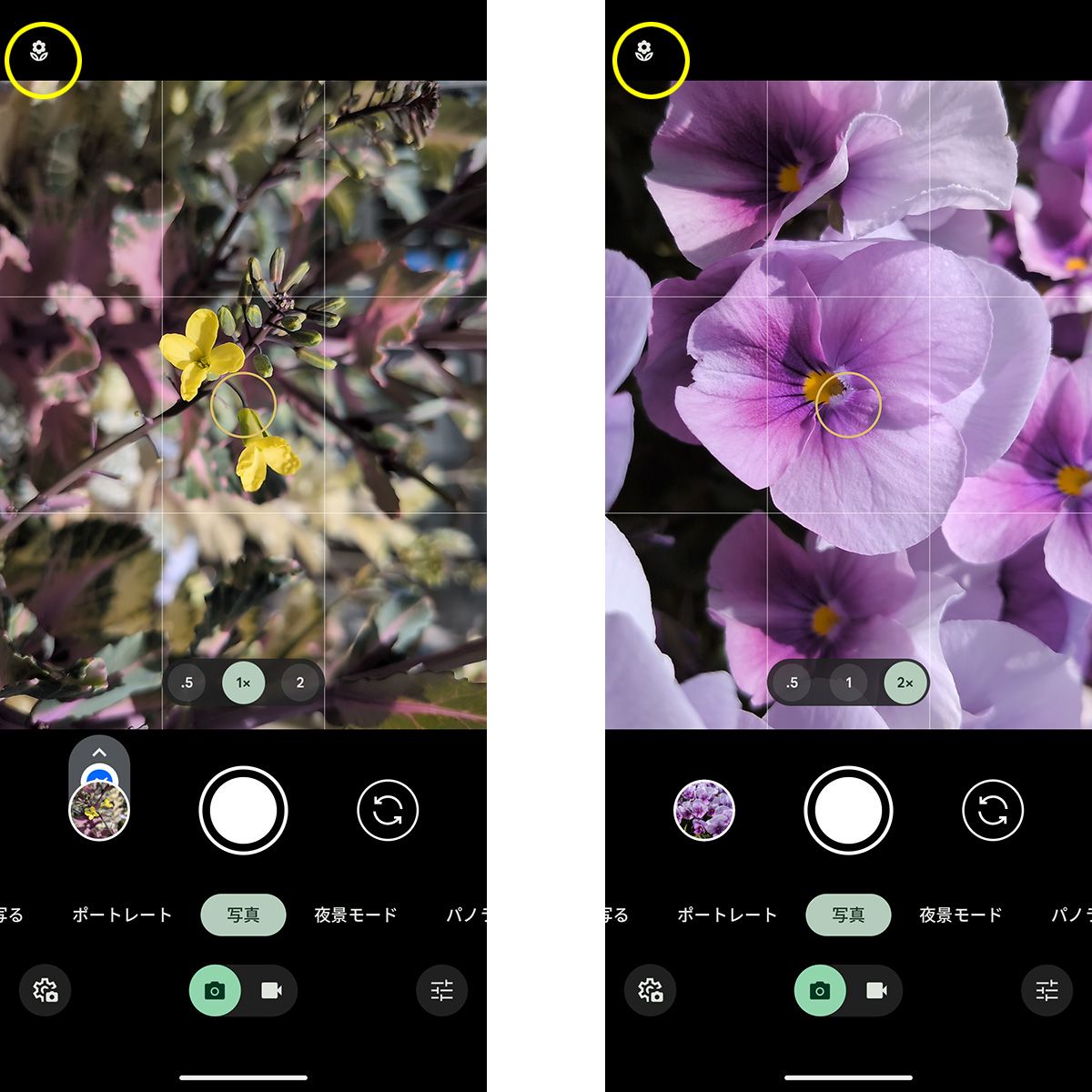 メインカメラによるマクロ撮影に対応。被写体に近接すると、マクロ撮影に切り替わったことを知らせる花のアイコンが画面に表示される。デジタルズーム2倍時にもマクロ撮影が可能
