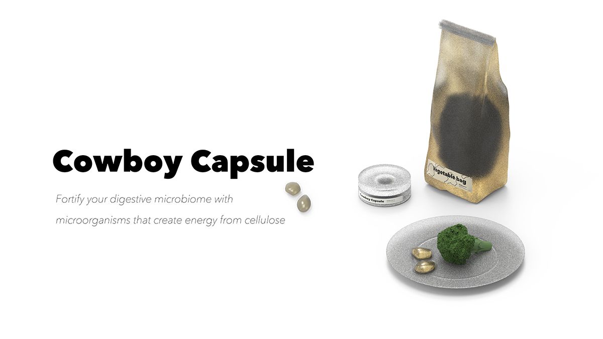 著者チーム作「Cowboy Capsule」