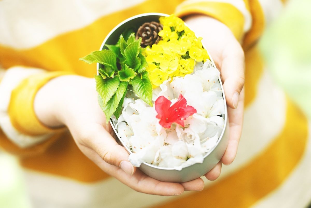 フミ子がつくった「花まんま」の弁当。「花まんま」は意外なかたちでラストシーンにも登場するⓒ2025「花まんま」製作委員会