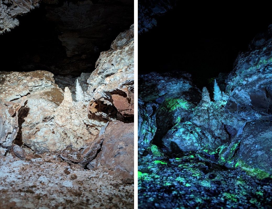 米サウスダコタ州の巨大洞窟ウインドケーブ内の調査区画の蛍光鉱物を白色光下で見た場合(左)と紫外線を照射した場合(右)(Joshua Sebree)