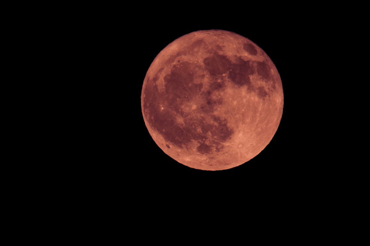 5月の満月「フラワームーン」（Shutterstock.com）